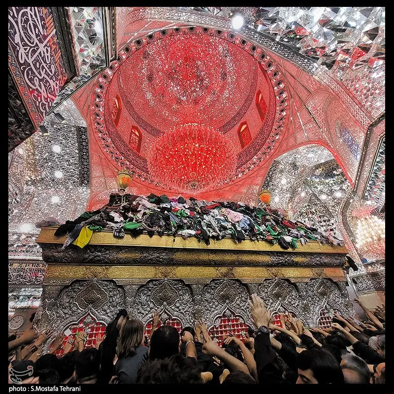 چرا ائمه بر زیارت امام حسین (ع) در شب جمعه تأکید دارند؟ - تسنیم