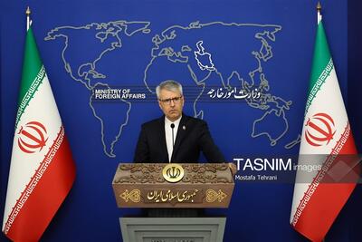 بقائی: ایران وضعیت خلبانان ارتش را از مجاری دیپلماتیک پیگیری میکند - تسنیم