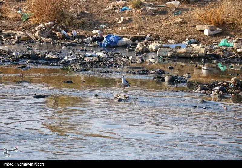 ورود پساب تصفیهنشده به قرهسو در روانسر؛ محیط زیست در حال بررسی علت - تسنیم