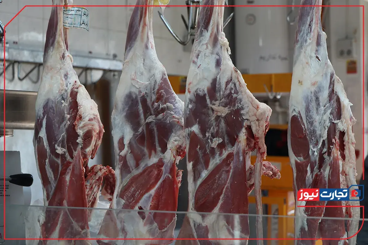  قیمت گوشت قرمز امروز ۲۶ مرداد ۱۴۰۵ + جدول