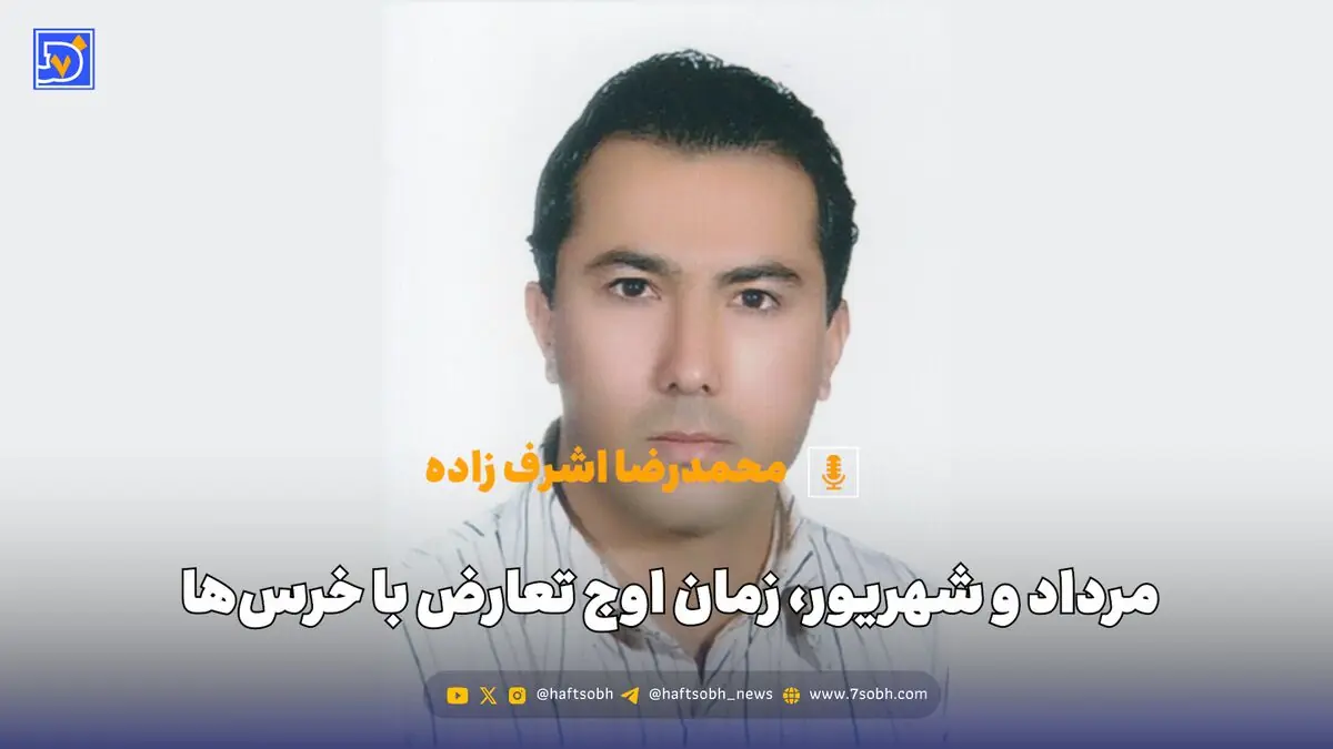 مرداد و شهریور، زمان اوج تعارض با خرسها