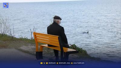 فرمولی برای حذف تبانی و حقوق‌های صوری