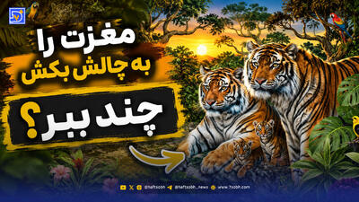 مغزت را به چالش بکش | 16 ببر در این جنگل وجود دارد؛ می توانید آنها را پیدا کنید؟
