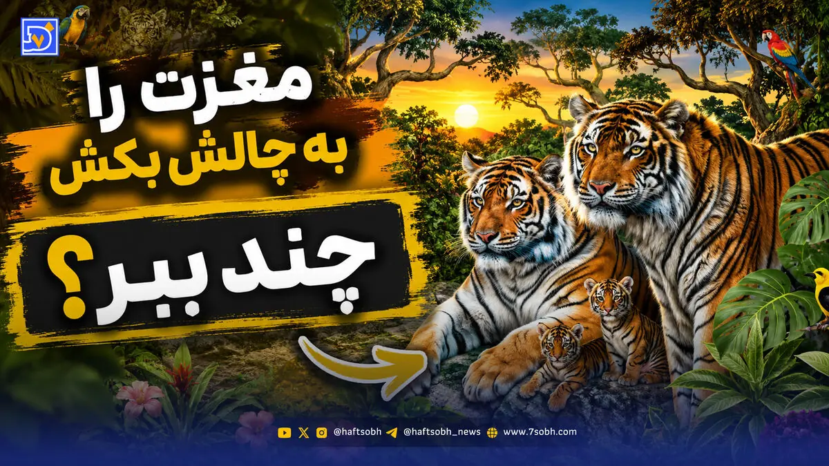  مغزت را به چالش بکش | 16 ببر در این جنگل وجود دارد؛ می توانید آن‌ها را پیدا کنید؟