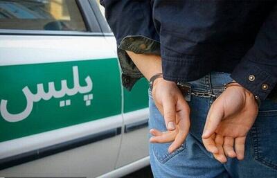  مرد عنکبوتی دستگیر شد