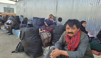 حضور ۴.۸ میلیونی اتباع در کشور