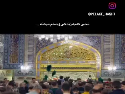 استوری/ سلام بر تو ای امام مهربانی