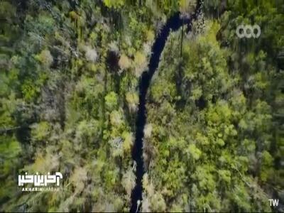  باران چگونه غار ها را تشکیل میدهد؟ | آخرین خبر