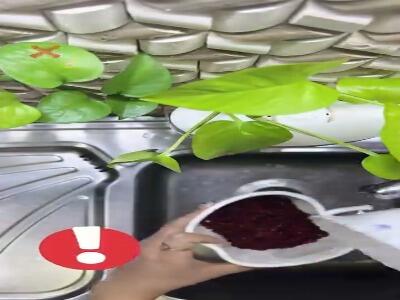  آماده کردن زرشک برای مصرف با غذا | آخرین خبر