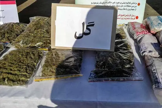 کشف 12 کیلوگرم «گُل» از مخفیگاه زن موادفروش