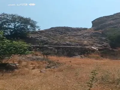  تاخت‌وتاز کَل و بزهای وحشی در ارتفاعات طارم قزوین