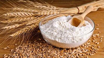 سالانه ۲۰ میلیون تن غلات وارد میشود