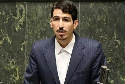 نماینده تهران نگران یارانه کارتن خوابها شد!