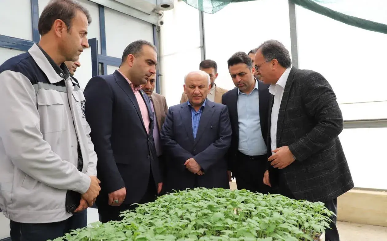 استاندار مازندران: تولید محصولات گلخانهای باید باکیفیت،استاندارد و صادراتمحور توسعه یابد