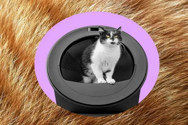  جعبه خاک هوشمند Whisker با هوش مصنوعی