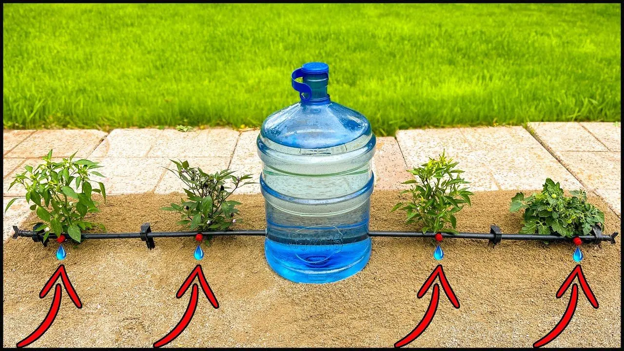 آموزش ساخت سیستم آبیاری قطره ای خانگی با دبه های پلاستیکی