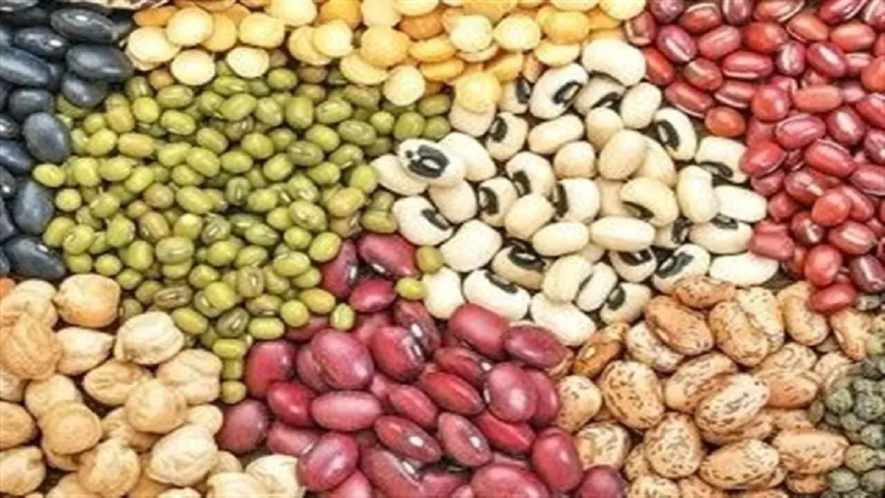  محاصره دریایی در واردات حبوبات تاثیری ندارد