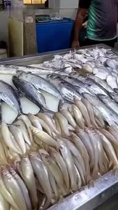 حال و هوای بازار ماهى فروشان بندرعباس