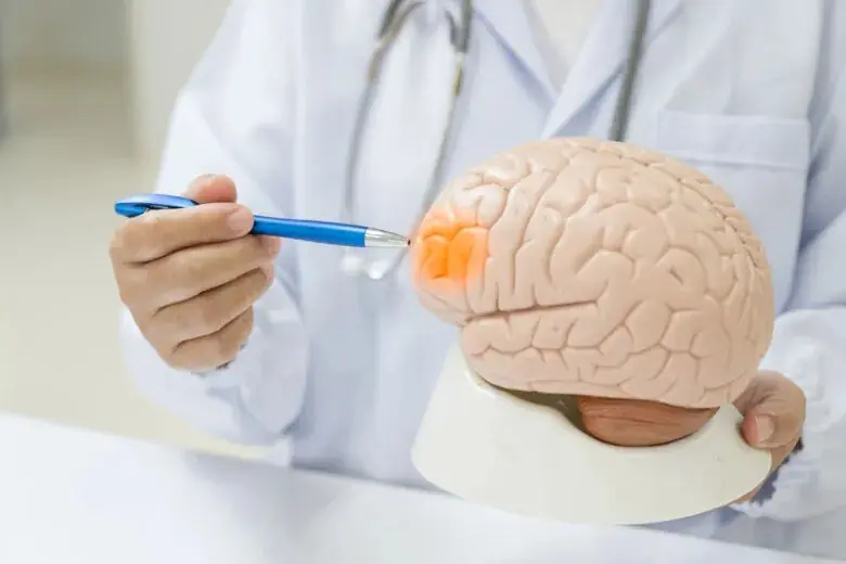 چگونه بعد از ۴۰ سالگی مغزمان را جوان نگه داریم؟