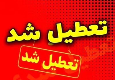  ادارات استان بوشهر چهارشنبه تعطیل هستند - همدلی
