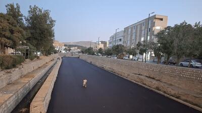 عملیات آسفالت بستر رودخانه الیگودرز متوقف شد - همدلی