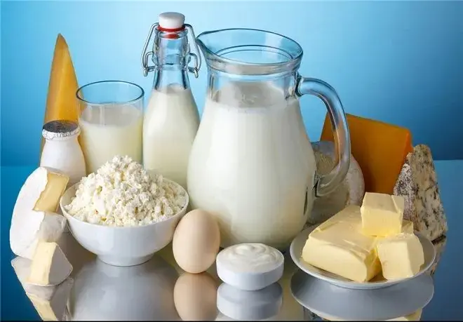 با این خوراکیها رودهتان را شارژ کنید