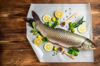  برگزاری نخستین مسابقه طراحی پوستر با موضوع مزایای مصرف آبزیان در استان مرکزی