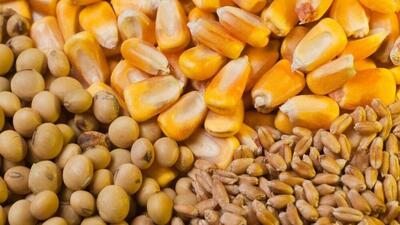 واردات نهادههای دامی تا شهریور بدون ثبت سفارش امکانپذیر است
