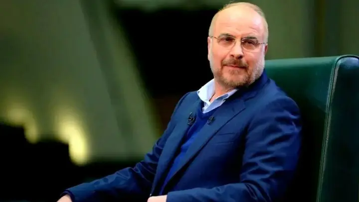 رئیس مجلس فردا به عراق سفر میکند