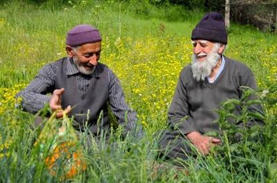 هشداری از جنس فراموشی زبان مادری در مازندران