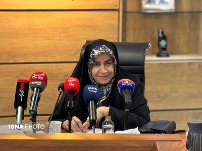  عضو کمیسیون اقتصادی: حمایت از خودرو نباید بدون قید و شرط باشد/دهک‌بندی‌ها اصلاح شود