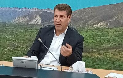 واگذاری کشتارگاههای شهرداریهای ایلام به بخش خصوصی