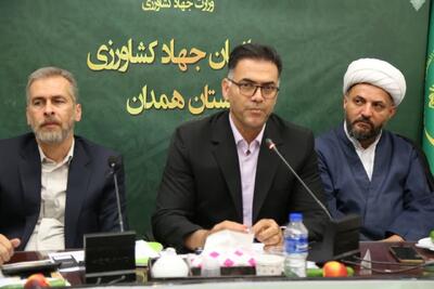 بیش بود تولید مرغ در هندان/ ۲۷۹ طرح در حال احداث در حوزه صنایع تبدیلی