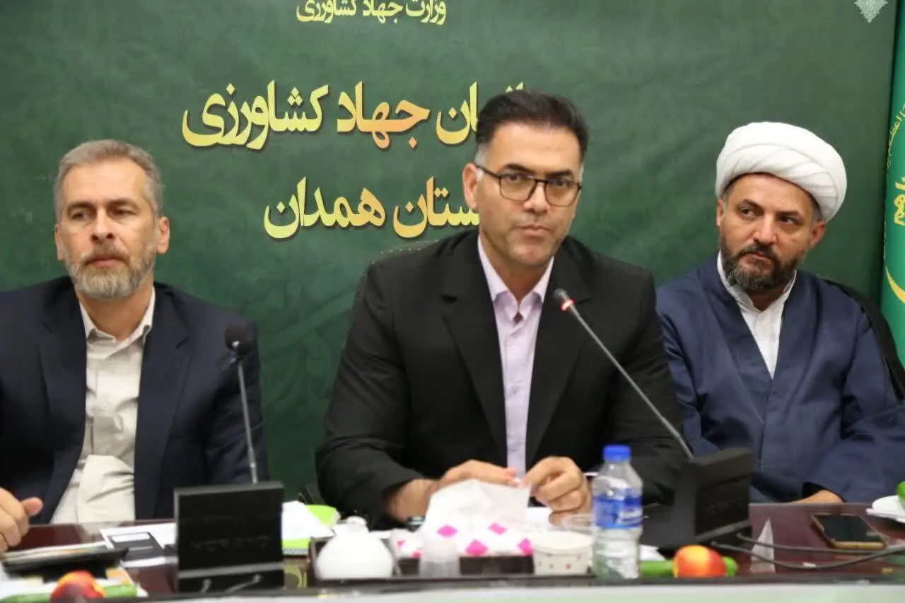 بیش بود تولید مرغ در هندان/ ۲۷۹ طرح در حال احداث در حوزه صنایع تبدیلی