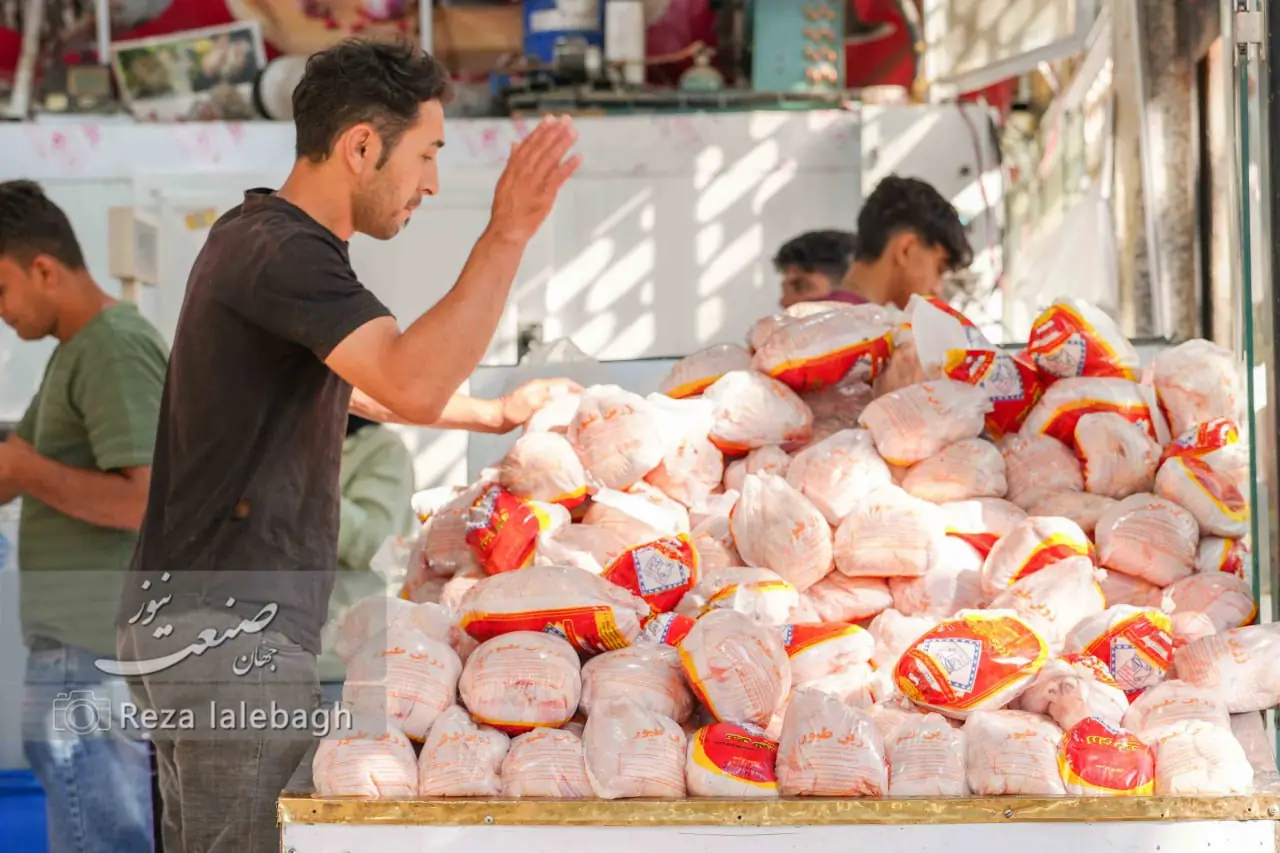 قیمت جدید گوشت مرغ امروز ۲۷ مرداد ۱۴۰۵