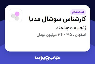 استخدام کارشناس سوشال مدیا - خانم در زنجیره هوشمند