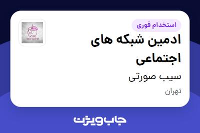  استخدام ادمین شبکه های اجتماعی - خانم در سیب صورتی