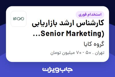 استخدام کارشناس ارشد بازاریابی (Senior Marketing Specialist) در گروه کایا
