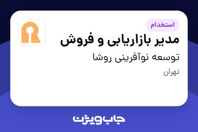 استخدام مدیر بازاریابی و فروش در توسعه نوآفرینی روشا