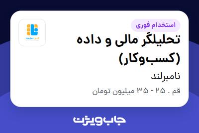 استخدام تحلیلگر مالی و داده (کسبوکار) در نامبرلند