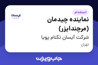 استخدام نماینده چیدمان (مرچندایزر) - آقا در شرکت آیسان تکنام پویا
