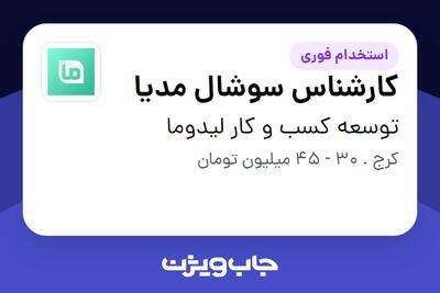 استخدام کارشناس سوشال مدیا در توسعه کسب و کار لیدوما