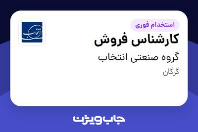 استخدام کارشناس فروش - آقا در گروه صنعتی انتخاب