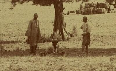  سفر در زمان؛ استراحت زیر درختان زیتون در رودبار؛ 140 سال قبل