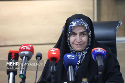 نشست خبری فاطمه مقصودی عضو کمیسیون اقتصادی مجلس