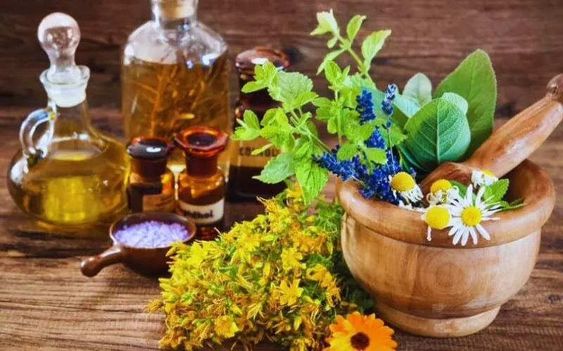 اینفوگرافیک؛ توسعه گیاهان دارویی در سیستان و بلوچستان