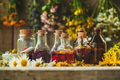 توسعه فناوری و استانداردسازی در زیستبوم گیاهان دارویی و طب ایرانی