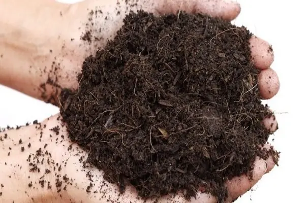 نخستین مزرعه ورمیکمپوست در دلگان راه اندازی شد