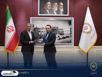 قائم مقام مدیرعامل بانک ملی ایران معرفی شد