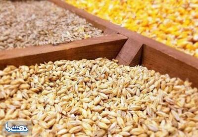 خبر خوش برای واردکنندگان نهادههای دامی جزئیات | نفت ما